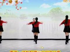 映容雪广场舞 网恋8090舞蹈视频 双人对跳分解动作教学