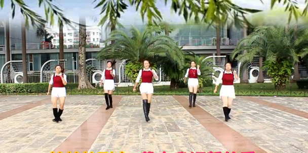 凤凰香香广场舞 站台舞蹈视频 分解动作教学