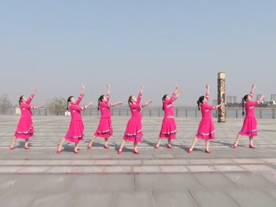 安徽燕舞飞媚广场舞 青藏高原舞蹈视频 20强舞队分解教学团队版