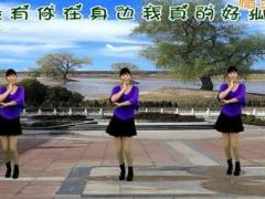 龙游红飞舞广场舞 放不下的情缘DJ舞蹈视频 正反面演示分解教学