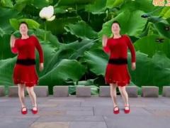 舞蝶广场舞 纳西情歌舞蹈视频 编舞：益馨分解教学