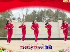杨丽萍广场舞 过年好舞蹈视频 原创迎新年广场舞分解教学