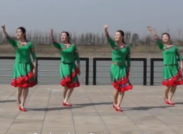 花与影广场舞风中的额吉 集体演示 蒙古舞哈琳《风中的额吉》歌词歌曲