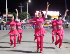 温州燕子广场舞印度桑巴正反面含教学 印度舞蹈风格广场舞