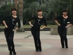 段希帆广场舞 傣族舞教学示范 手位 手型 基本步伐