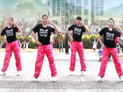 重庆叶子广场舞天涯海角也会一路顺风 含杨丽萍教学 最新热门中老年广场舞