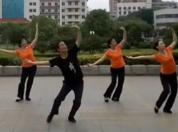 刘峰广场舞青藏女孩 团体版 简单好看中老年广场舞