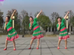 黄材国兵广场舞泉水边的傣家姑娘正面背面含教学 欢快优美的中老年广场舞