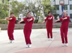 湘湘广场舞鹅鹅鹅正面背面演示教学 动感欢快的中老年广场舞