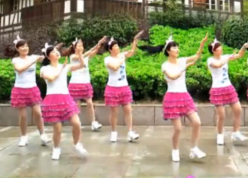 宝贝麦西西广场舞队形表演 铜陵飞扬广场舞宝贝麦西西 简单欢快的中老年广场舞
