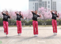 重庆叶子广场舞宝贝麦西西正反面含教学 热情欢快的中老年广场舞