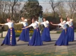 芳华岁月广场舞水中月亮 队型版 藏族舞