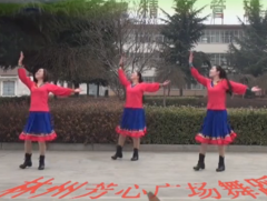 林州芳心广场舞爱要放声唱正面背面含教学 简单好看的中老年广场舞