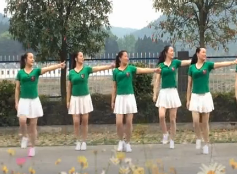 中国牛广场舞舞蹈视频 梅山幽兰广场舞中国牛团队版