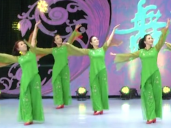 相思的苦广场舞团队正面演示 北京青青广场舞相思的苦