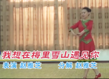 我想在梅里雪山遇见你广场舞赵雅芝教学视频 藏族舞蹈