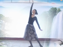 飞去来兮广场舞北方飞来的黑颈鹤 含王梅老师教学视频
