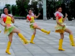 稻田里的火鸡广场舞舞蹈视频 泸县彩虹广场舞第二版