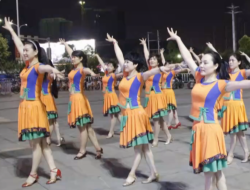 温州燕子广场舞荷东的士高 单人跳 双人对跳 16步