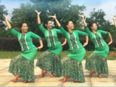 春英广场舞泉水边的傣族姑娘正面背面演示教学 傣族舞