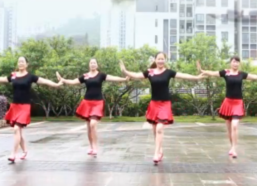 重庆叶子广场舞气质迷倒人正反面含分解 时尚动感的中老年广场舞