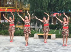 济南糖粉广场舞赶着马车去北京团队演示 热情大方的中老年广场舞