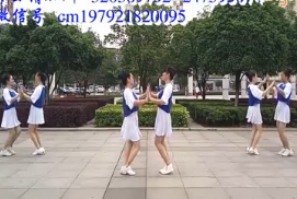 新风尚广场舞DJ老板难当 双人对跳步子舞 视频舞蹈