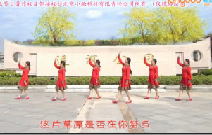 温州燕子广场舞 把你藏在怀里视频舞蹈下载