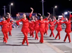 温州燕子广场舞美极了