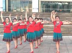 龙岩舞燕广场舞世界上最美的花 团队演示 演唱：水木年华