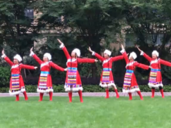 糖糖广场舞我的家乡香格里拉 藏族舞蹈 演唱：巴桑拉姆