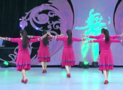白马梅朵贺月秋广场舞背面舞蹈视频