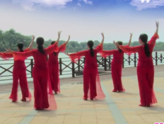 雕花砚广场舞背面舞蹈视频 高安飞扬广场舞团队版
