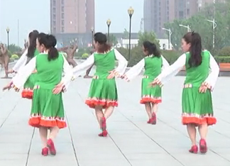 行政中心广场舞 唱给卓玛姑娘  中老年广场舞 背面展示