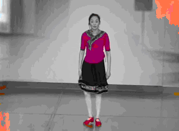 贺月秋广场舞 可爱的祖国 动作分解 视频舞蹈