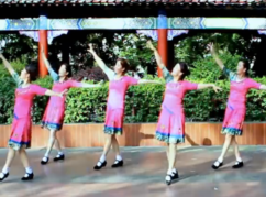 沅陵燕子广场舞世界上最美的花正面背面舞蹈视频