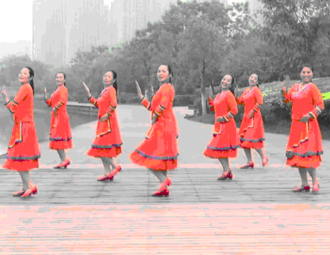 雨竺广场舞 花儿朵朵 背面展示 音乐