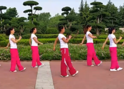 舞动旋律2007健身队广场舞溜溜的情歌含分解 32步步子舞