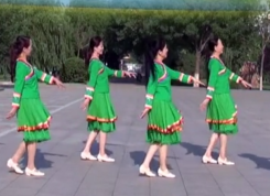 藏家姑娘广场舞舞蹈视频 黄骅枣儿红广场舞