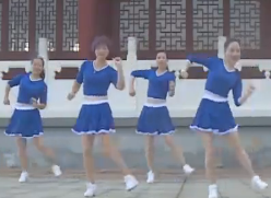 杨丽萍广场舞DJ你是我心中最美丽的花 动感32步步子舞