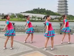 北京南边有座城广场舞背面演示 陕西凤舞飞天广场舞