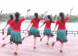 苗家恋歌广场舞背面舞蹈视频 安徽绿茶飞舞广场舞