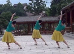 伤心城市紫蝶踏歌广场舞背面舞蹈视频