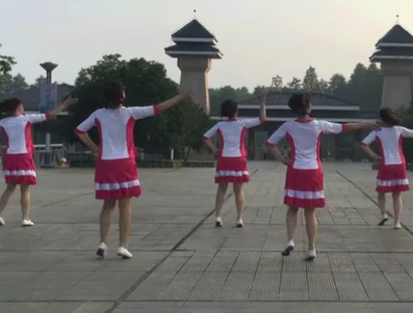 湖北乐乐广场舞 天下姐妹 背面展示 音乐