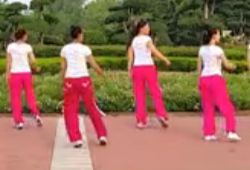 舞动旋律2007健身队《舞力全开（48步）》原创步子舞