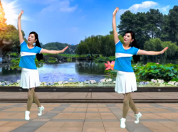 游城广场舞嗨起来 含杨丽萍教学视频 活力健身操