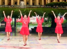 兴梅广场舞红莓花儿开
