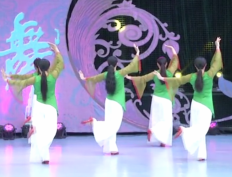 张春丽广场舞人间西湖背面舞蹈视频