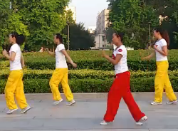 舞动旋律2007健身队广场舞渴望自由 32步步子舞