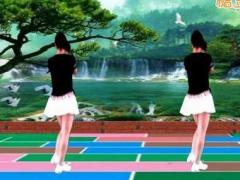 舞蝶潇洒人生广场舞舞蹈视频 正反面演示 附舞曲